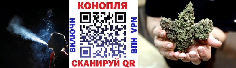 Бошки Шишки гибрид Полтавская